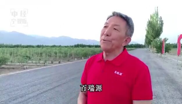 中国枸杞看宁夏丨百瑞源之源