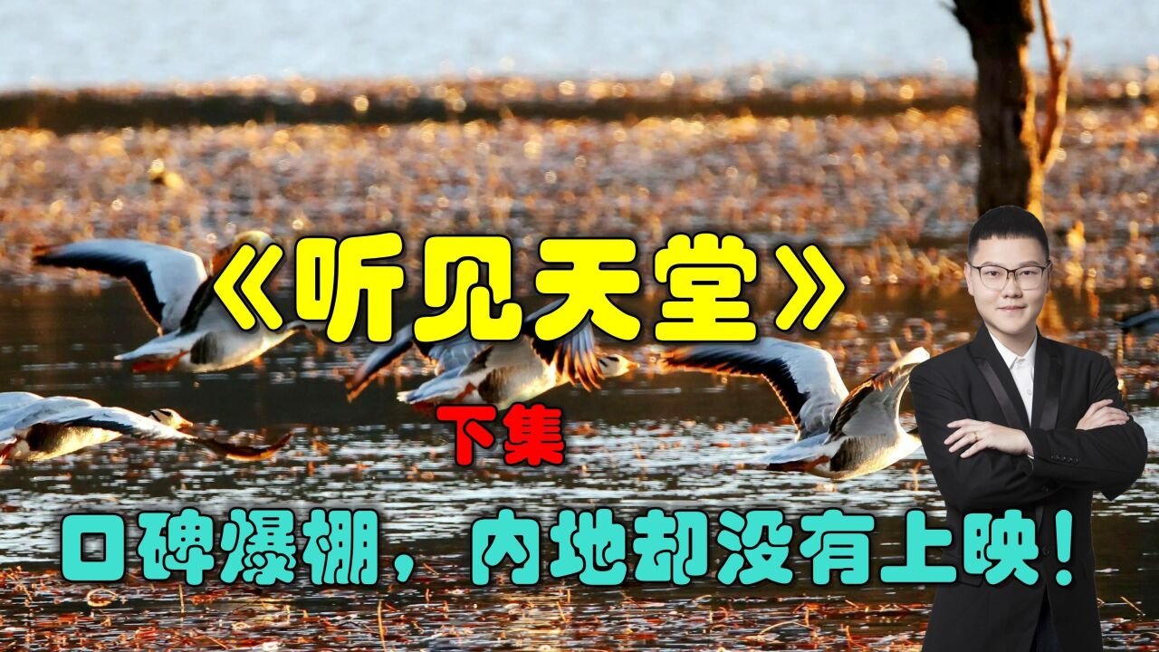 一部口碑爆棚的高分电影,然而内地却没有上映!《听见天堂》下集