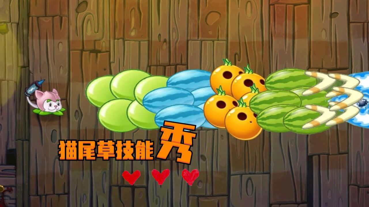 植物大战僵尸游戏 猫尾草使用各种植物技能对抗僵尸