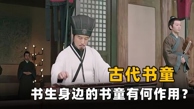 古代书生进京赶考时,为何身边总跟着个书童?书童究竟有何作用?