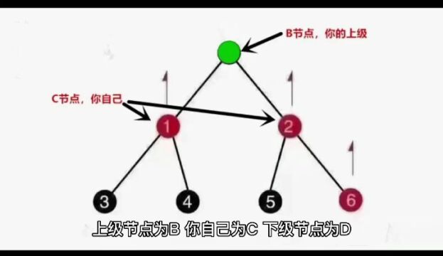 揭秘疯狂的比特币:每个800元 新的庞氏骗局?