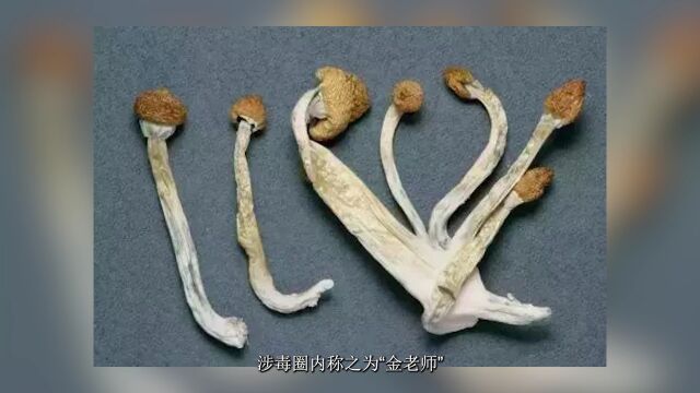 终极防骗的“六把金钥匙”,破解网络诈骗新的“变种”