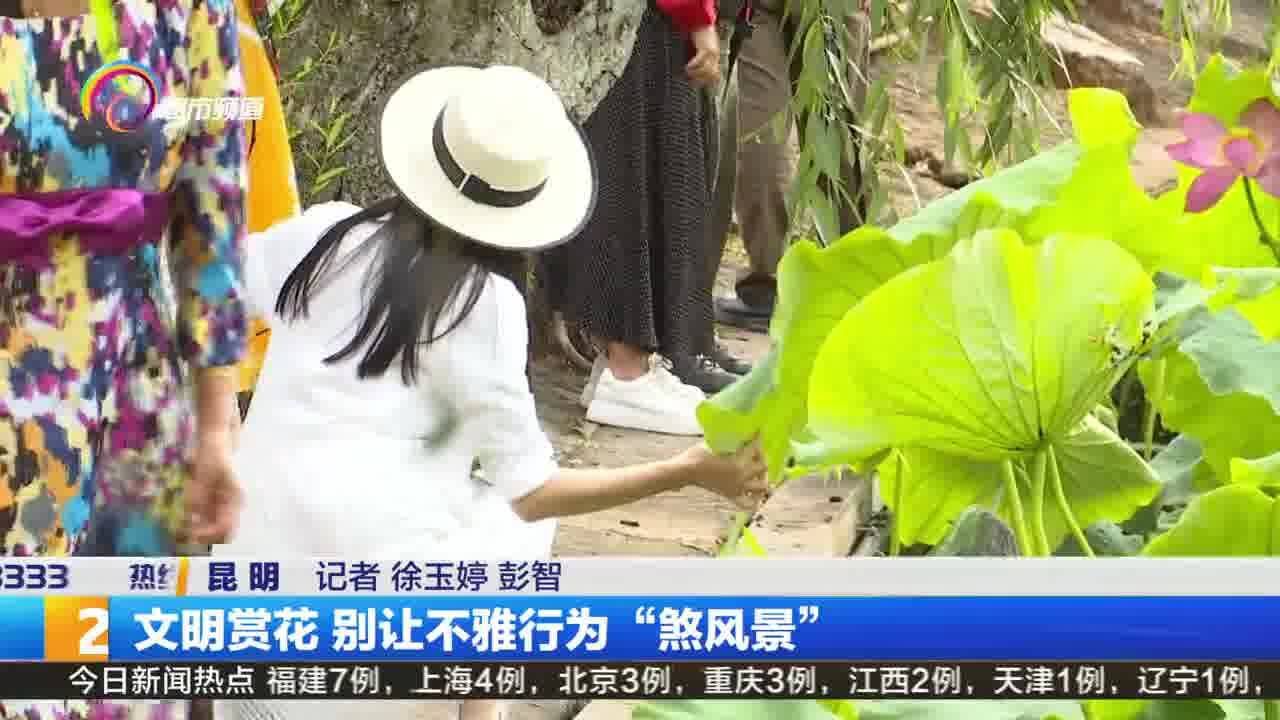 文明赏花 别让不雅行为“煞风景”