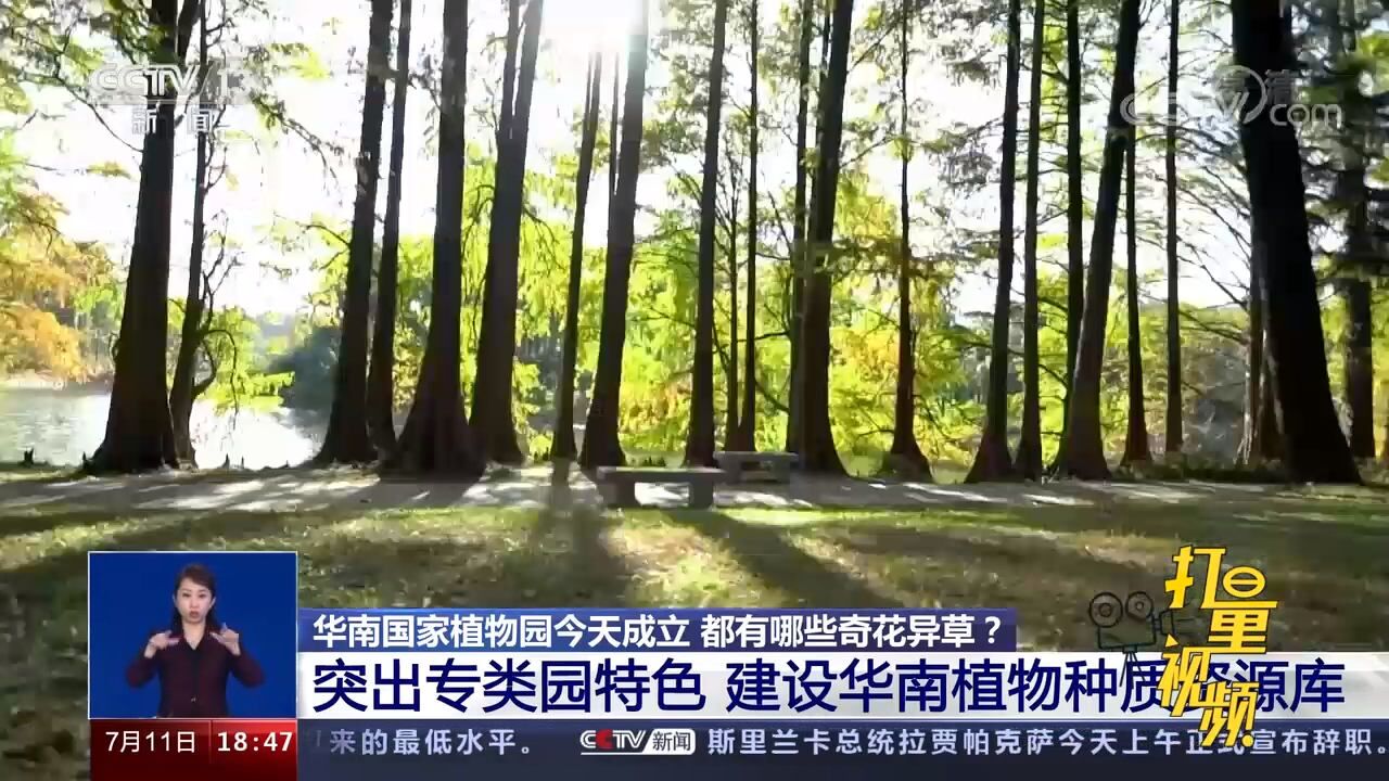 华南国家植物园:突出专类园特色,讲好中国植物故事