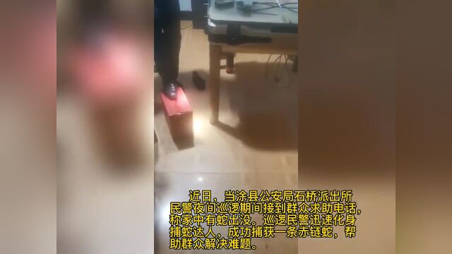 惊险!蛇出没!当涂警察蜀黍上演“捕蛇记”