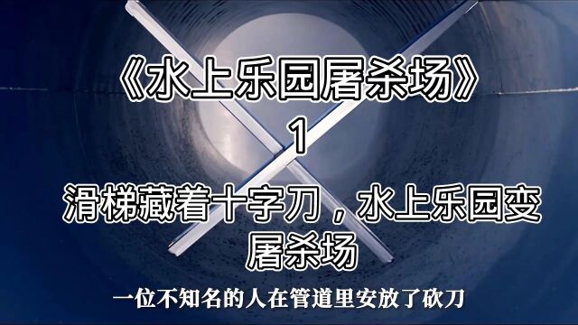 犯罪片《水上乐园屠杀场》1