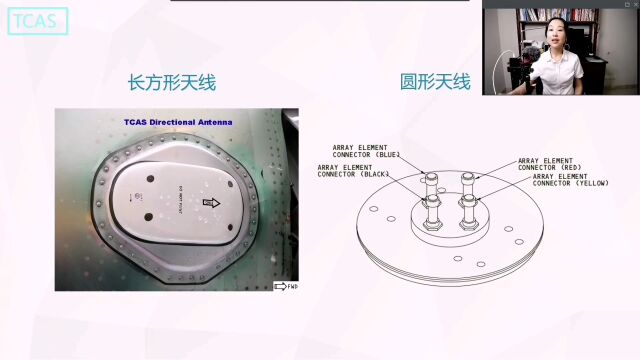 B737ATC与TCAS简介