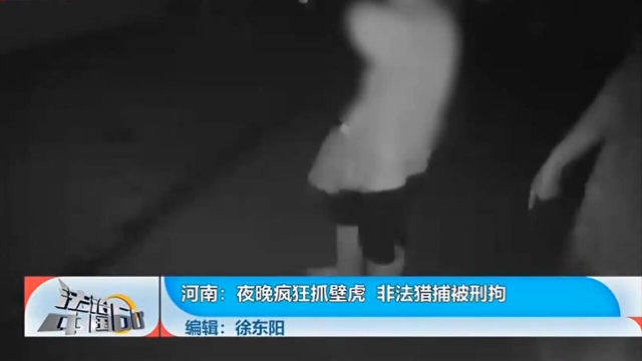 夜晚疯狂抓壁虎,非法猎捕被刑拘