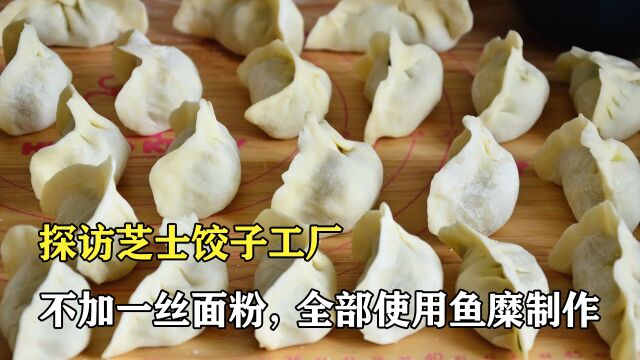 探访芝士饺子工厂:不加一点面粉,全部用鱼糜制作