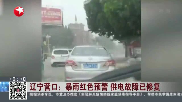 辽宁营口:暴雨红色预警 供电故障已修复