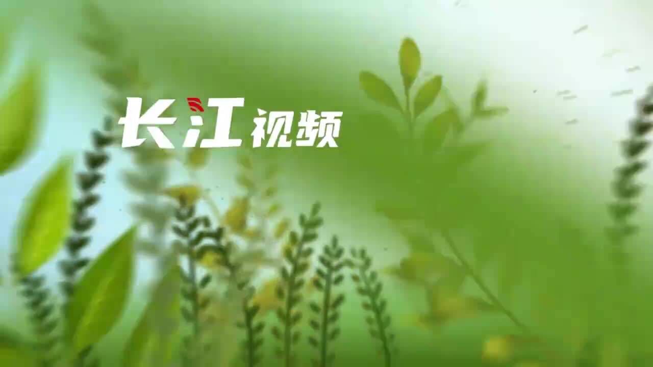 这个企业技改后将减排6000吨二氧化碳