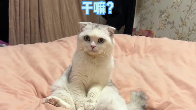 s640x360?max_age=7776000