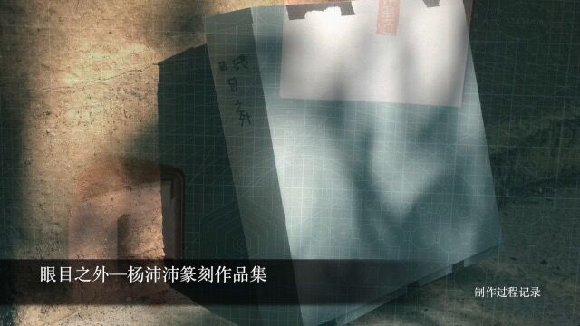 杨沛沛篆刻作品集制作视频