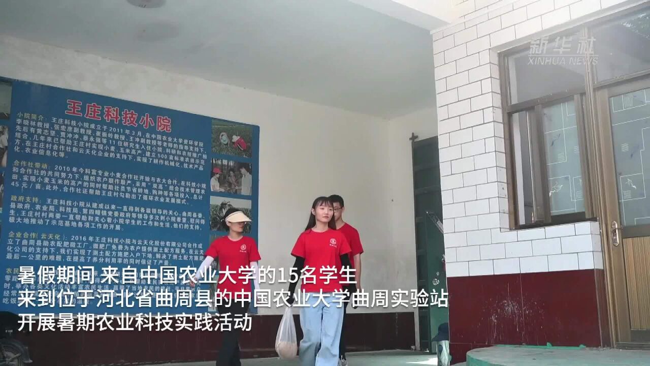 新华全媒+|农业科技下田间——大学生的别样暑期生活