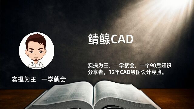 CAD中如何画箭头操作视频教程