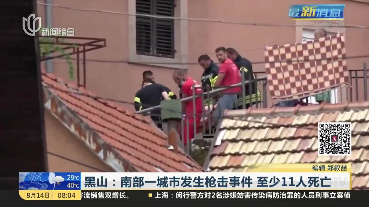 黑山:南部一城市发生枪击事件 至少11人死亡