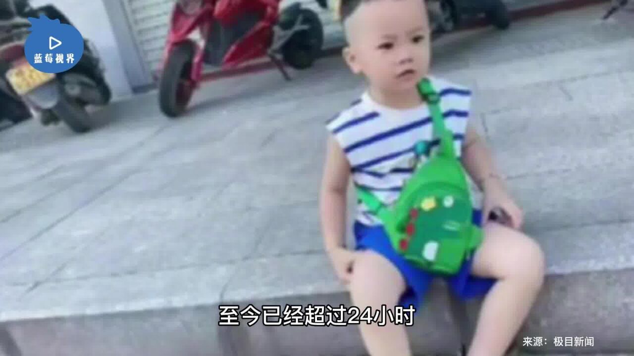 急寻2岁走失男童李卓成!家门口失踪后 数百人搜寻一昼夜无果