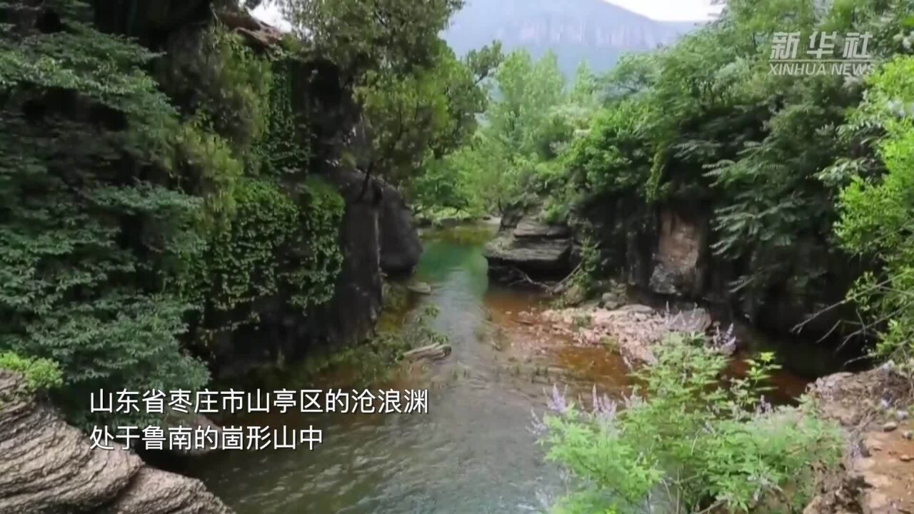 千城胜景|枣庄山亭:魅力沧浪渊 消夏好去处