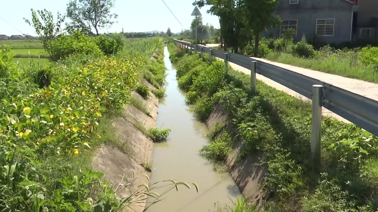 临澧县望城街道:干群齐上阵 提水抗旱灾