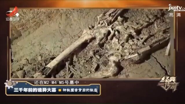 甲字形大墓,发现大量殉牲和殉人的遗迹,专家:商代贵族墓