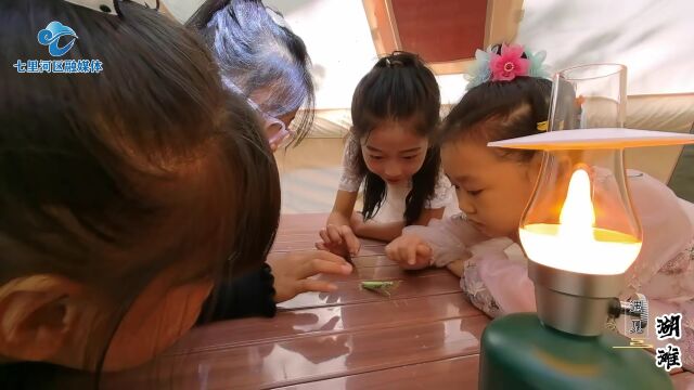 “遇见湖滩”乡村振兴旅游项目20日启动