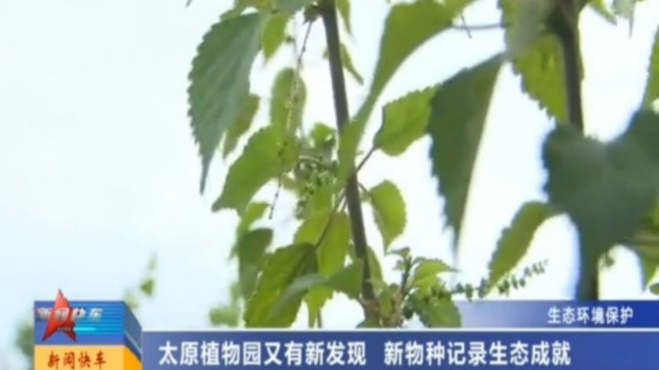 太原植物园又有新发现,新物种记录生态成就