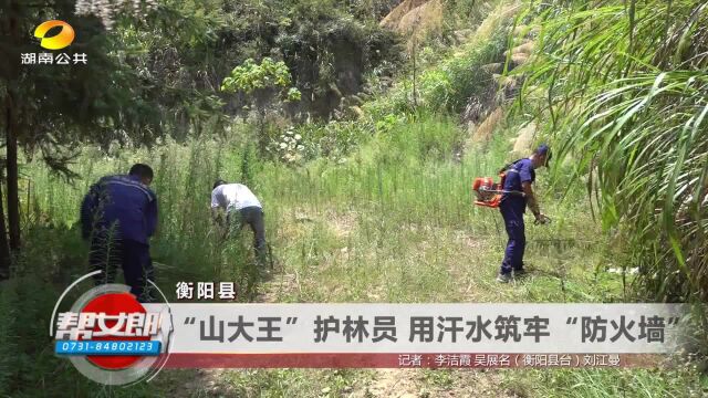 衡阳县:“山大王”护林员 用汗水筑牢“防火墙”