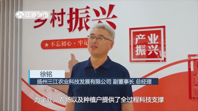 《午间看点》栏目报道江苏省电视台播出——扬州三江农业科技发展有限公司