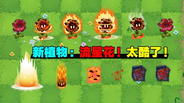 PVZ资讯:新植物“流星花”!手动植物,火球特效拉满!