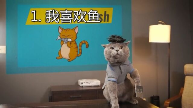 迈克猫:世界上最听话的猫——这是你工作时候的样子吗?