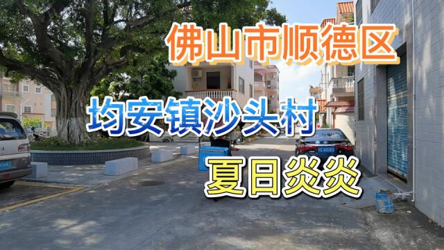 佛山市顺德区均安镇沙头村夏日炎炎