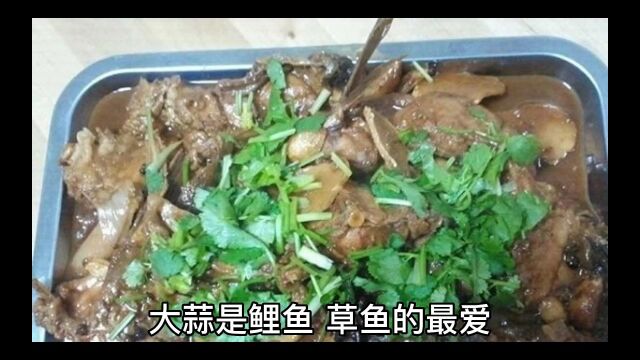 如何用大蒜制作钓鱼饵料