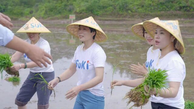 素绮公益活动