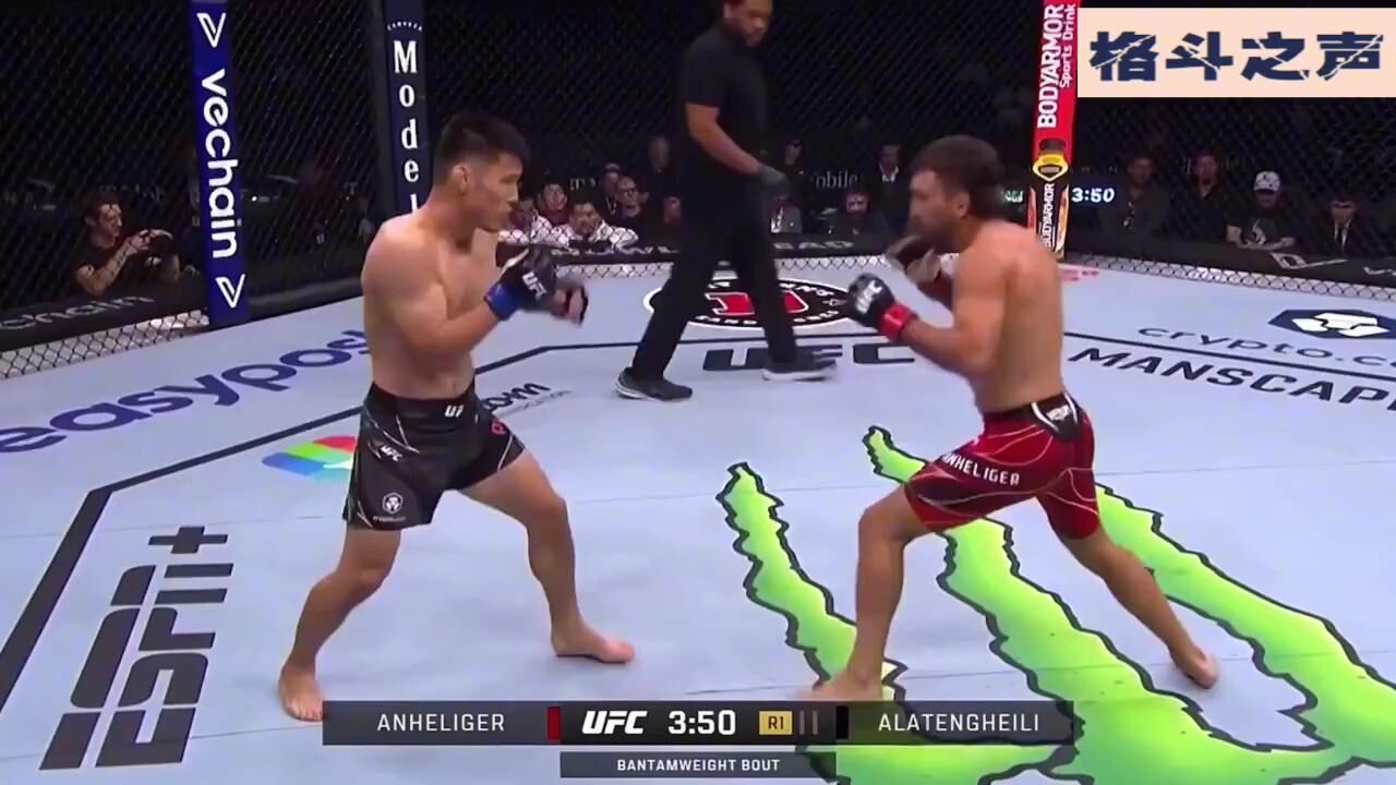 ufc279黑力多次重击对手!