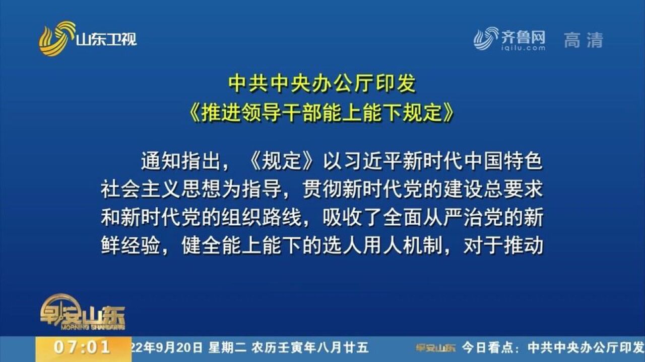 中共中央办公厅印发《推进领导干部能上能下规定》