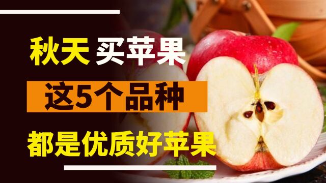 秋天买苹果,懂行的专挑这5个品种,都是优质好苹果,建议了解