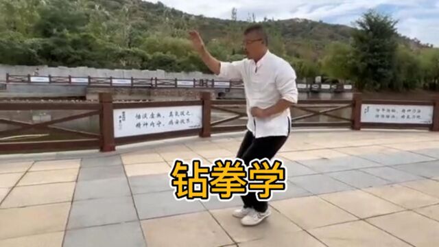 明刚五行拳之钻拳学