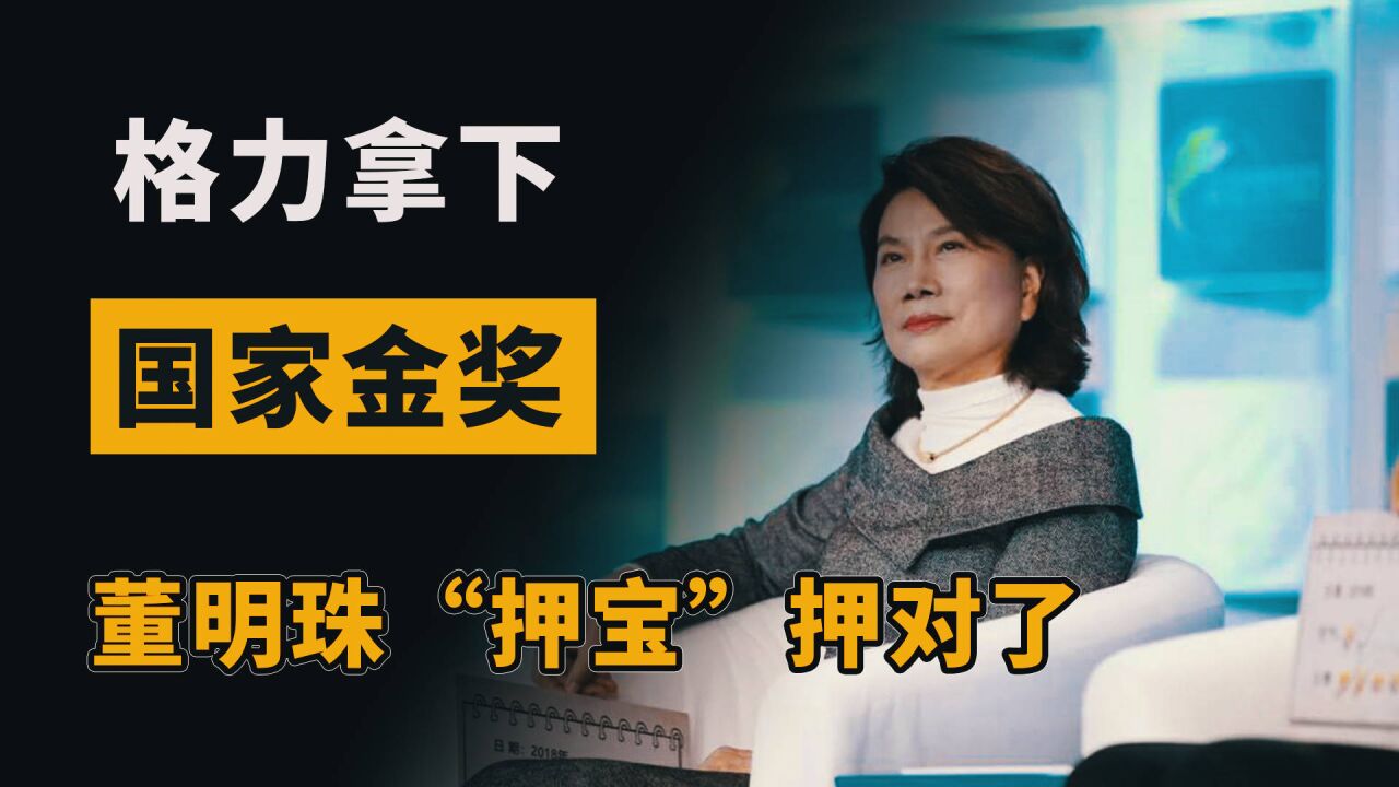 拿下国家专利金奖,格力钛电池仍被评“不适合”?太小看董明珠了