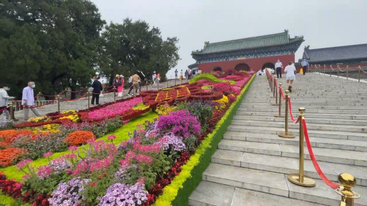 太美了!北京天坛公园花团锦簇 大型立体花坛勾勒祖国锦绣山河