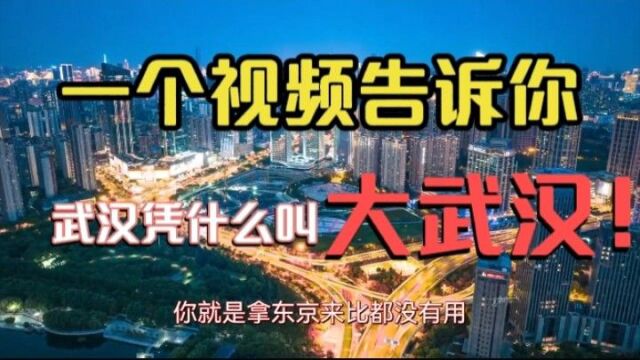 那么多城市都不敢称大!武汉凭什么叫大武汉?看完您就知道了