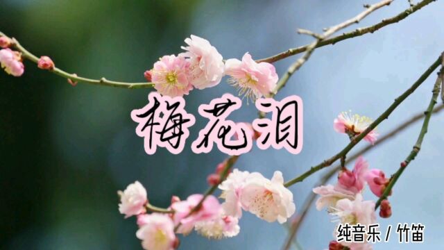 纯音乐《梅花泪》——谁说梅花没有泪,只因等你几度寒来望春归