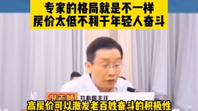 盘点全网所谓专家们的发言,房价太低不利于年轻人奋斗