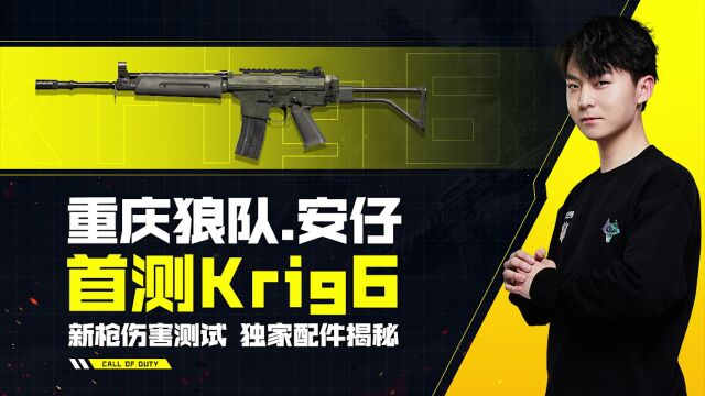 安仔枪械测评:Krig 6 伤害测试,独家配件揭秘!