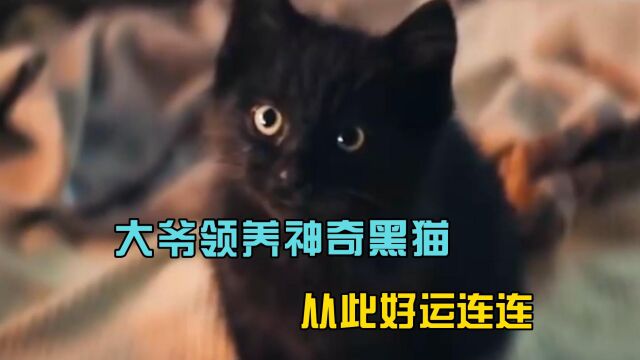 大爷养了一直黑猫,结果好运来了,随便就能中大奖