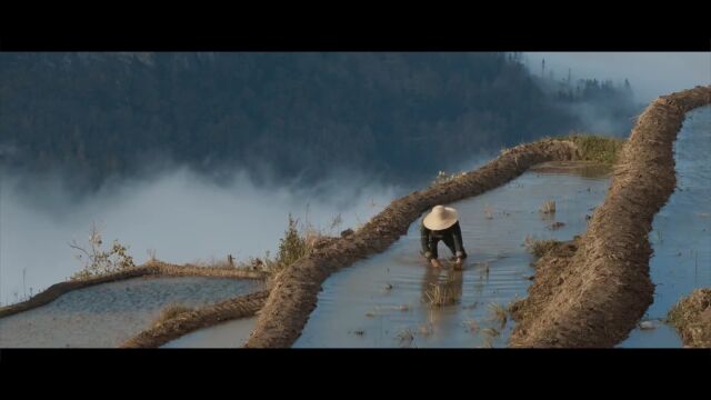 【喜迎二十大ⷮŠ四川这十年】鉴证四川——透过年鉴看四川这十年③│文化建设篇