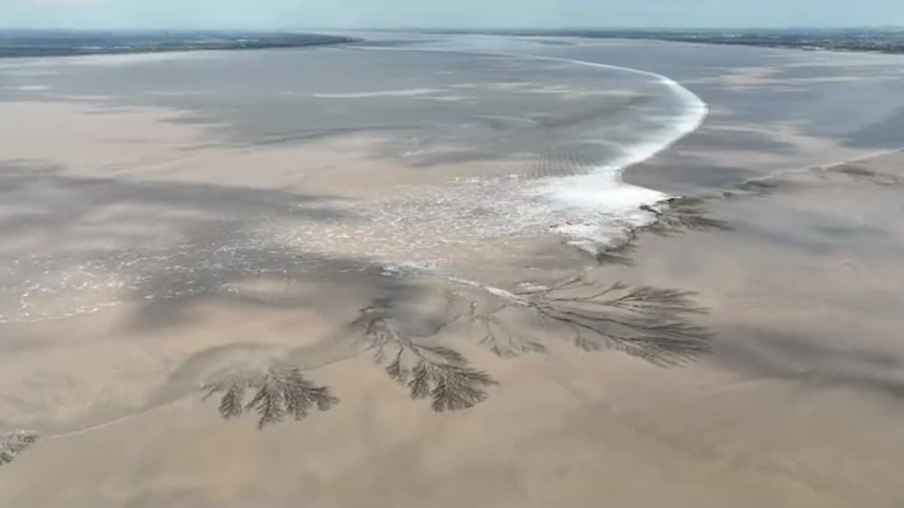 大自然的鬼斧神工!钱塘江涨潮,俯瞰下潮水灌溉大地之树