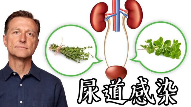 尿道感染,第一名自然疗法,柏格医生 Dr Berg