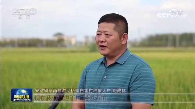 “十一”期间 南阳广播电视台在央视平台发稿硕果累累