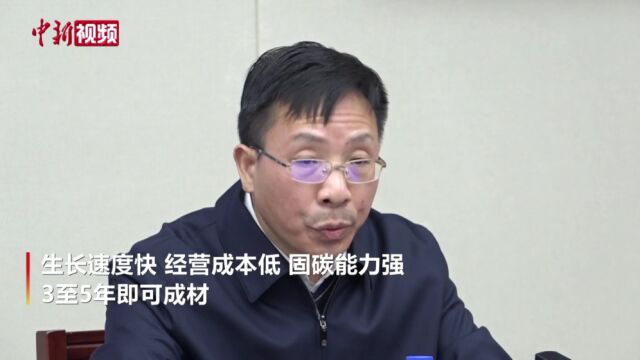 第二届世界竹藤大会将发布“以竹代塑”倡议减少塑料污染