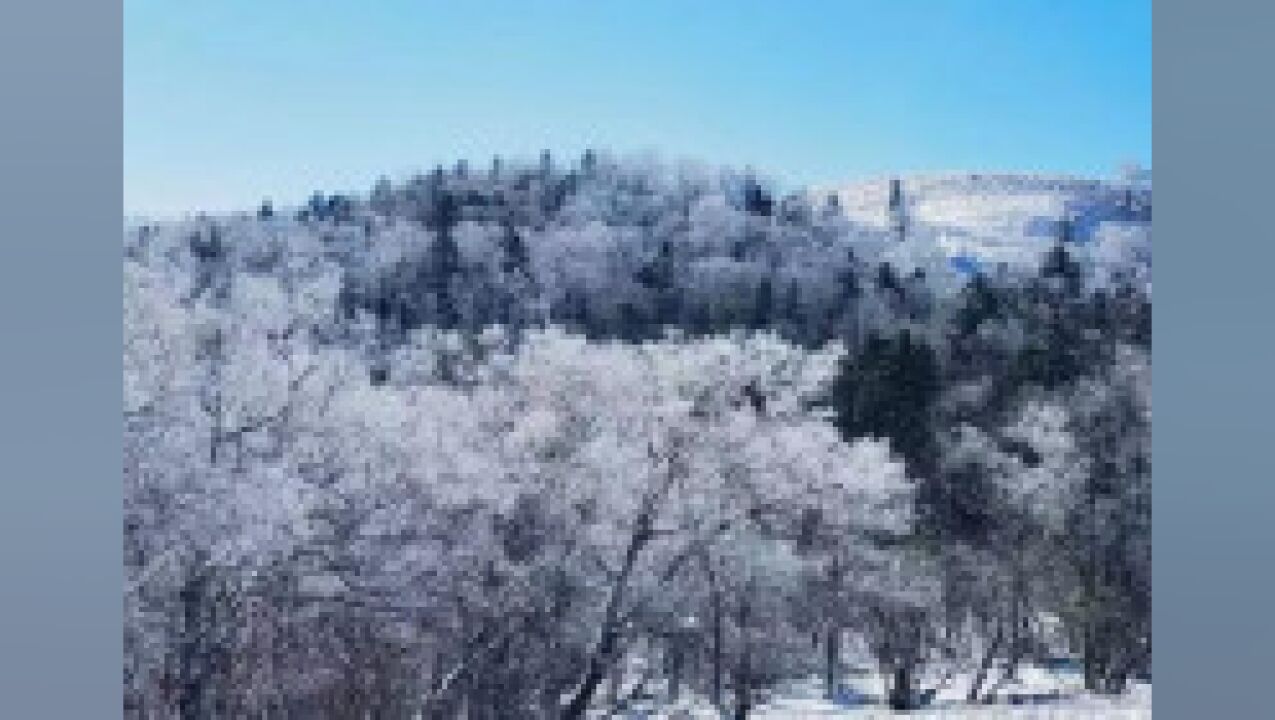 黑龙江雪乡景区迎入秋最大降雪,雾凇雪挂奇观应接不暇